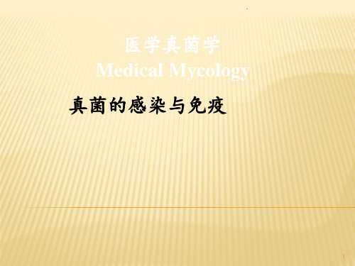 真菌的感染与免疫PPT课件