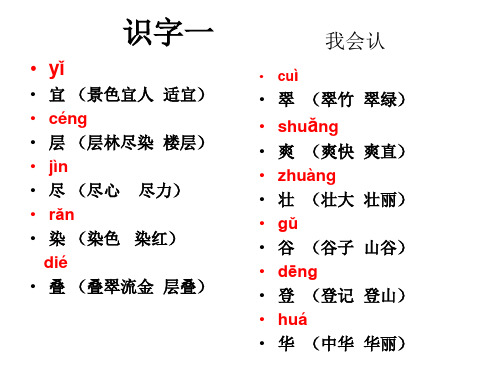 二年三册词语造句