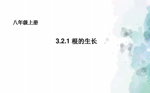 冀少版生物-八年级上册 3.2.1根的生长课件