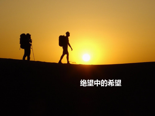 广交会总结 --完结篇分析
