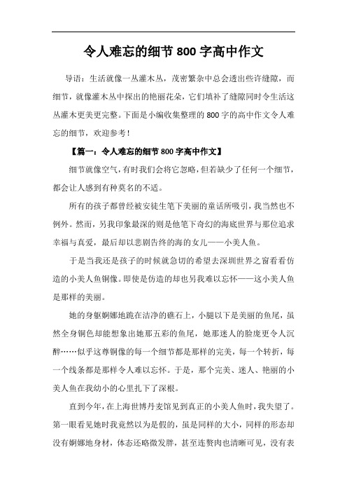 令人难忘的细节作文800字高中