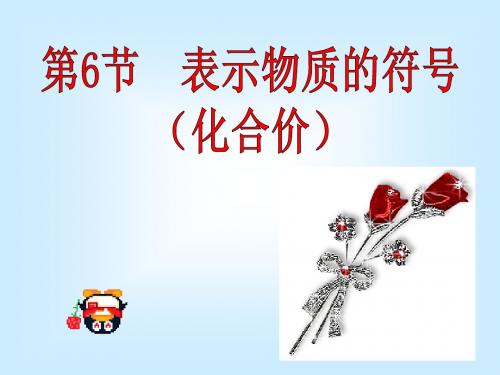 表示物质的符号(化合价)