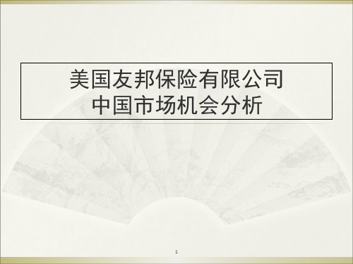 美国友邦保险有限公司中国市场机会分析SWOT-文档资料