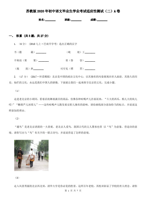 苏教版2020年初中语文毕业生学业考试适应性测试(二)A卷