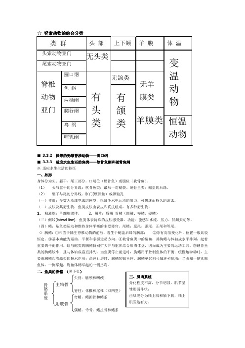 脊椎动物考研讲义