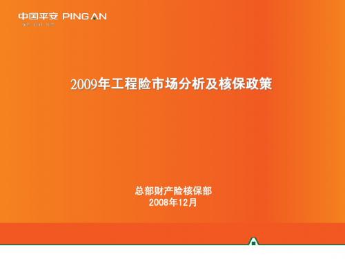 09年工程险政策