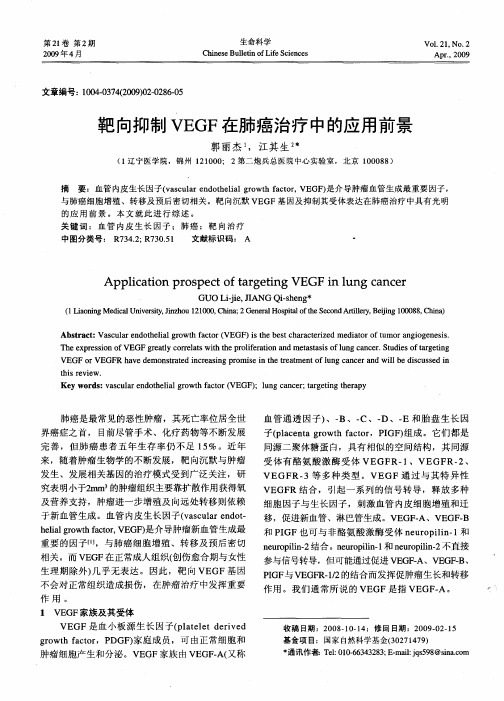靶向抑制VEGF在肺癌治疗中的应用前景