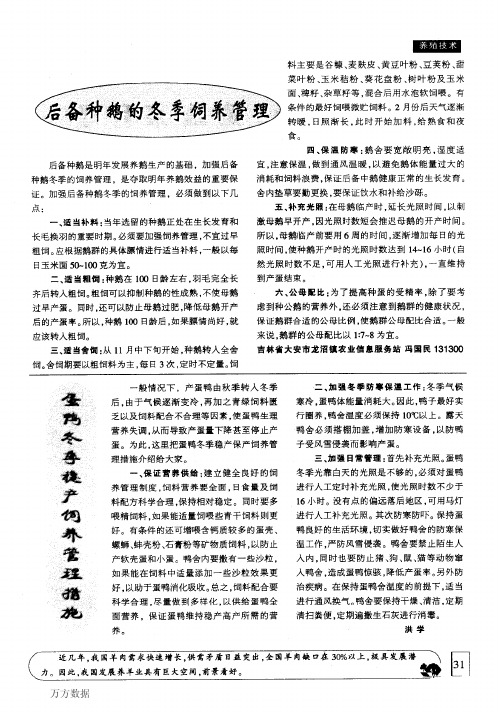 蛋鸭冬季稳产饲养管理措施