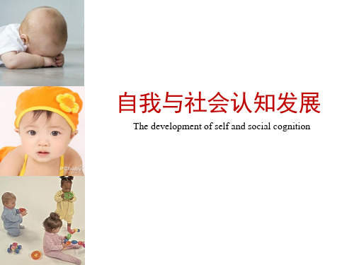 自我与社会认知发展