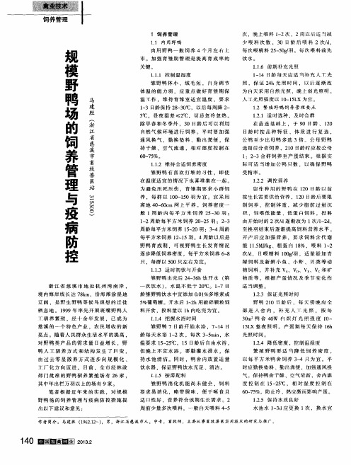 规模野鸭场的饲养管理与疫病防控