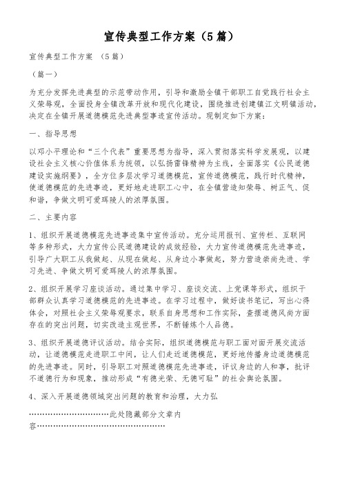 宣传典型工作方案(5篇)