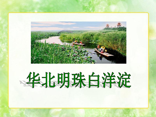 《华北明珠白洋淀》PPT课件二