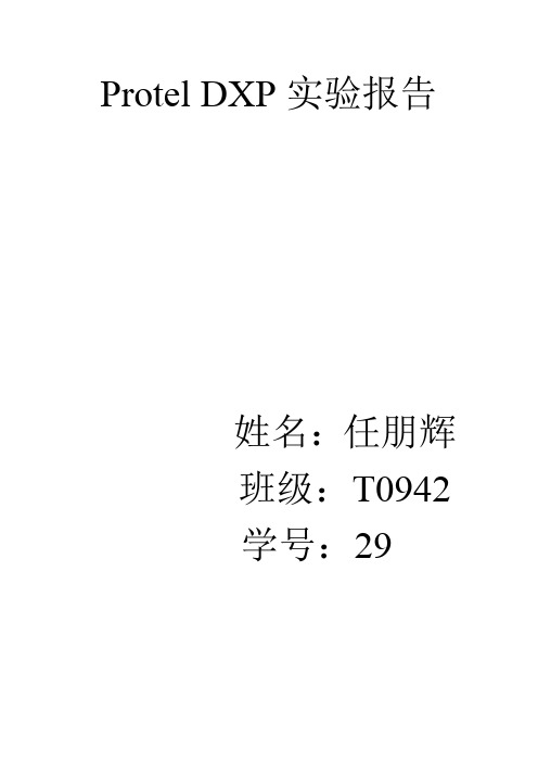 dxp实验报告
