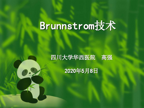 Brunnstrom技术