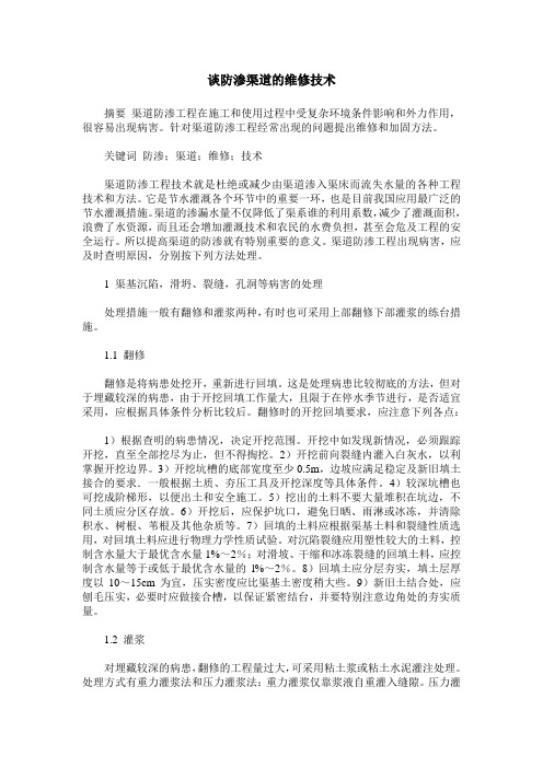谈防渗渠道的维修技术