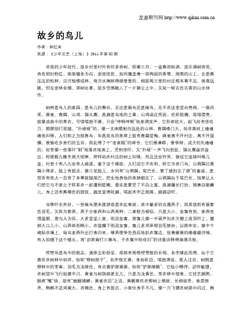 故乡的鸟儿