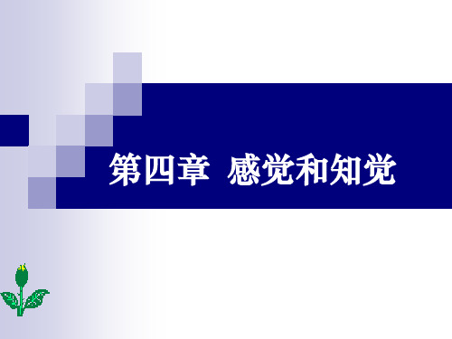 [教育学]程正方心理学  第三章 感觉和知觉