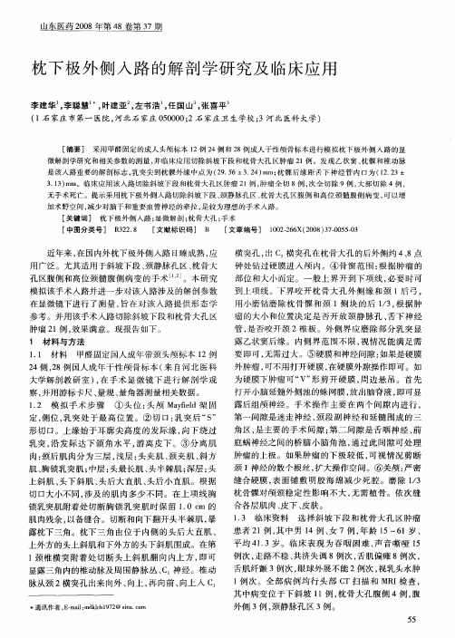 枕下极外侧入路的解剖学研究及临床应用
