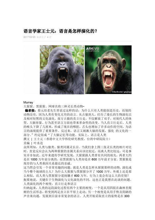 语言是怎样演化的