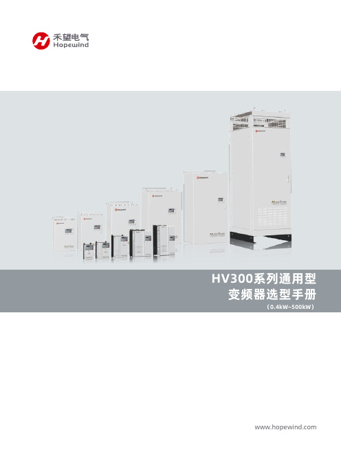 HV300系列通用型变频器选型手册说明书