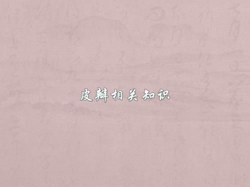 皮瓣相关知识PPT课件