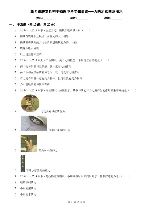 新乡市获嘉县初中物理中考专题训练---力的示意图及图示