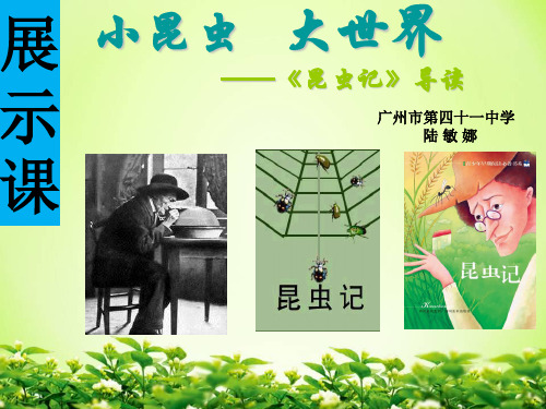 八年级上册语文《《昆虫记》：科普作品的阅读》1人教版部编