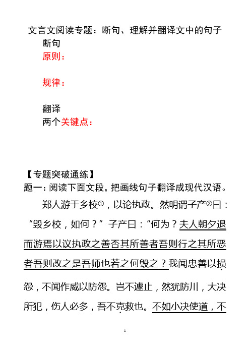 (开课)文言文阅读专题：断句、理解并翻译文中的句子