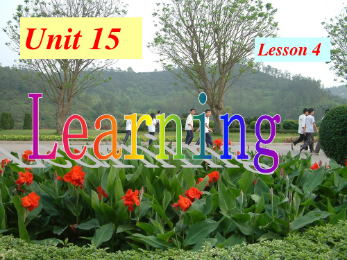 高中英语Unit15Lesson4《Understanding》课件1北师大版必修5