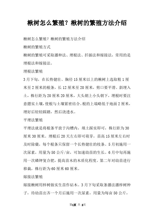 楸树怎么繁殖？楸树的繁殖方法介绍