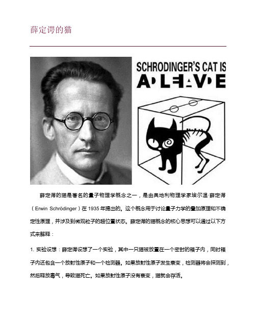 薛定谔的猫介绍
