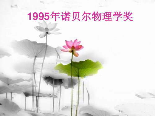 1995诺贝尔物理学奖简介
