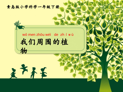 我们周围的植物【课件设计】.ppt