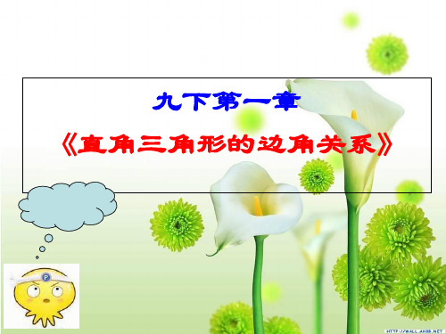 北师大版九年级下册锐角三角函数教学精品课件PPT