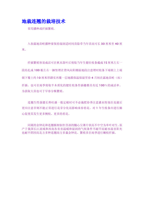 地栽连翘的栽培技术
