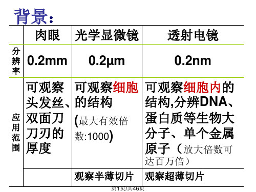 半薄超薄切片技术