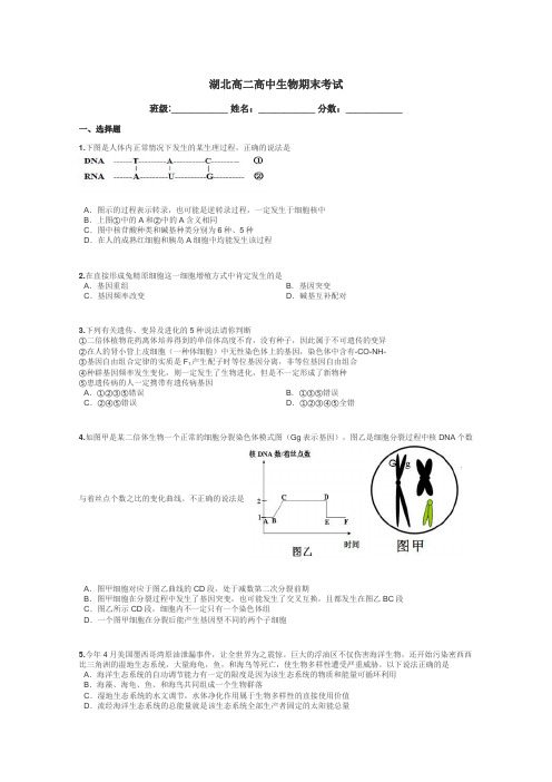 湖北高二高中生物期末考试带答案解析
