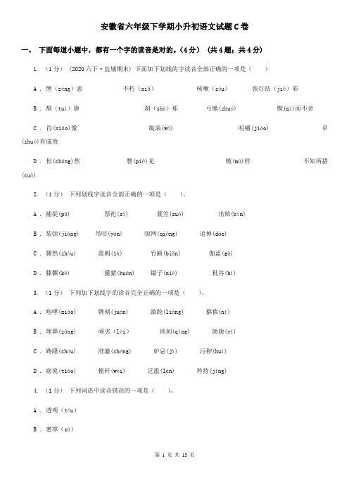 安徽省六年级下学期小升初语文试题C卷