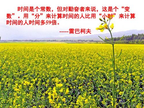 2015年春季新版苏科版九年级数学下学期6.2、黄金分割课件5