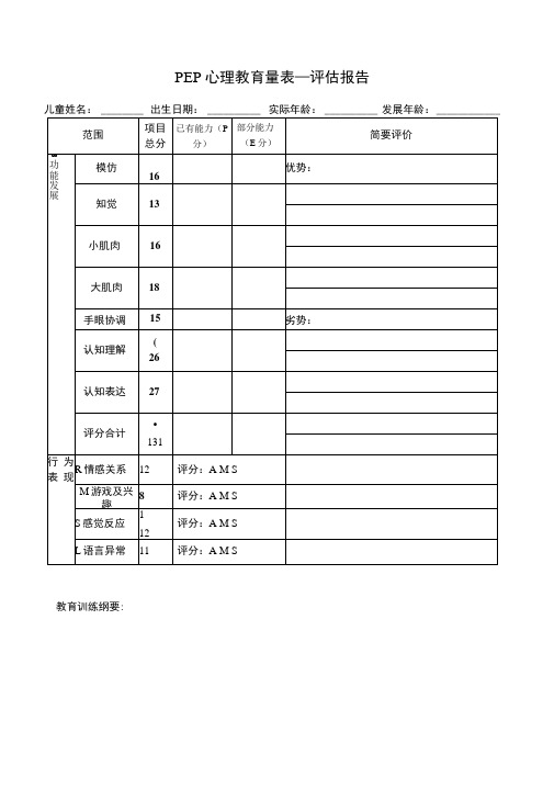 PEP-3孤独症儿童心理教育量表评估报告解析