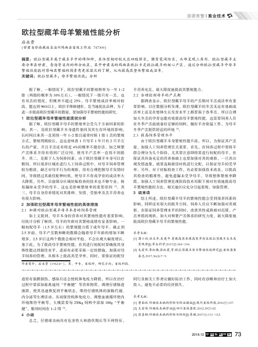 欧拉型藏羊母羊繁殖性能分析