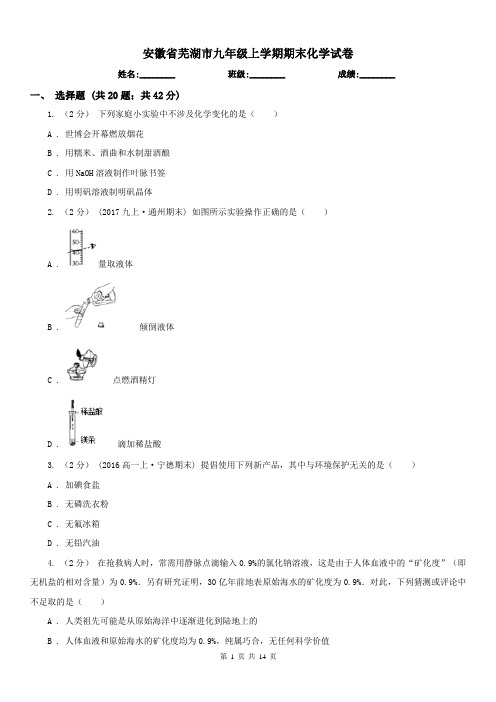 安徽省芜湖市九年级上学期期末化学试卷