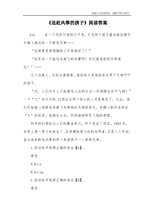 《追赶风筝的孩子》阅读答案