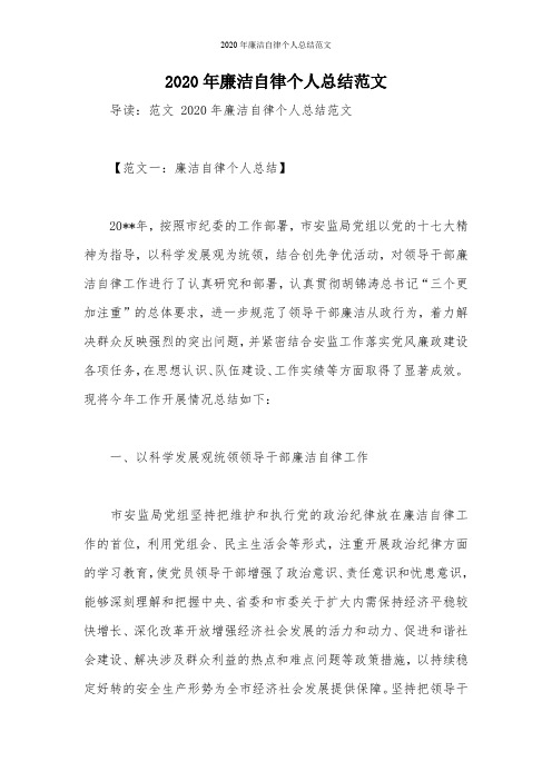 2020年廉洁自律个人总结范文