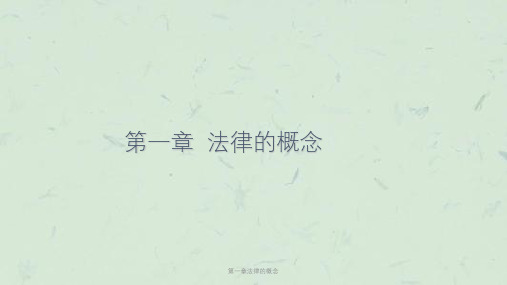 第一章法律的概念课件