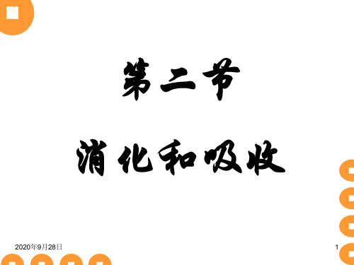 新人教版七年级生物下册第二章第二节消化和吸收精品PPT课件