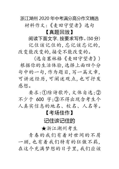 记住该记住的(青春的我们) 湖州2020年中考满分作文