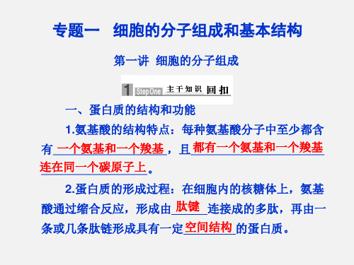 高考生物 二轮复习 专题一 第一讲 细胞的分子组成