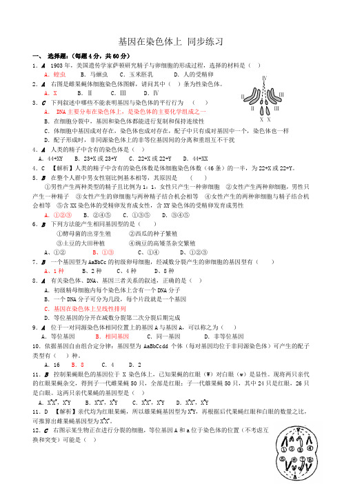 高中生物基因在染色体上 同步练习1新课标 人教版 必修2