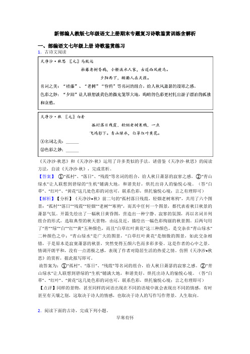 新部编人教版七年级语文上册期末专题复习诗歌鉴赏训练含解析